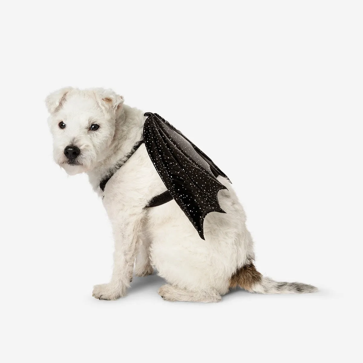 Bat Costume for Pets