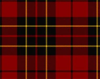 Brodie Modern Light Weight Tartan Scarf