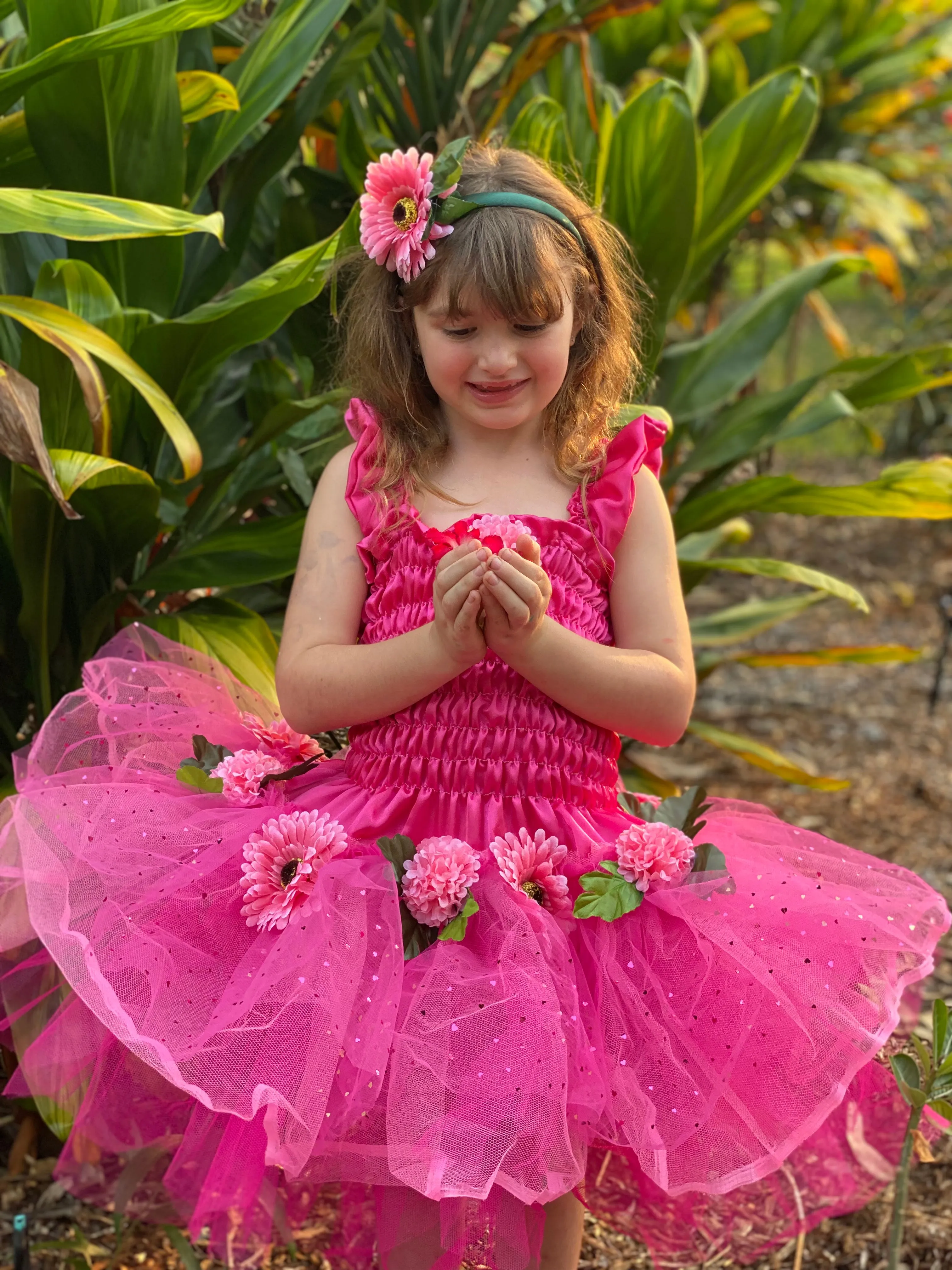 Butterfly Ballet Fairy Dress