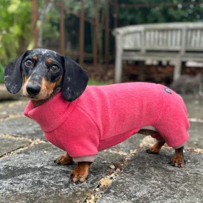 Dachshund Fleece Winter Suits with 4 Legs