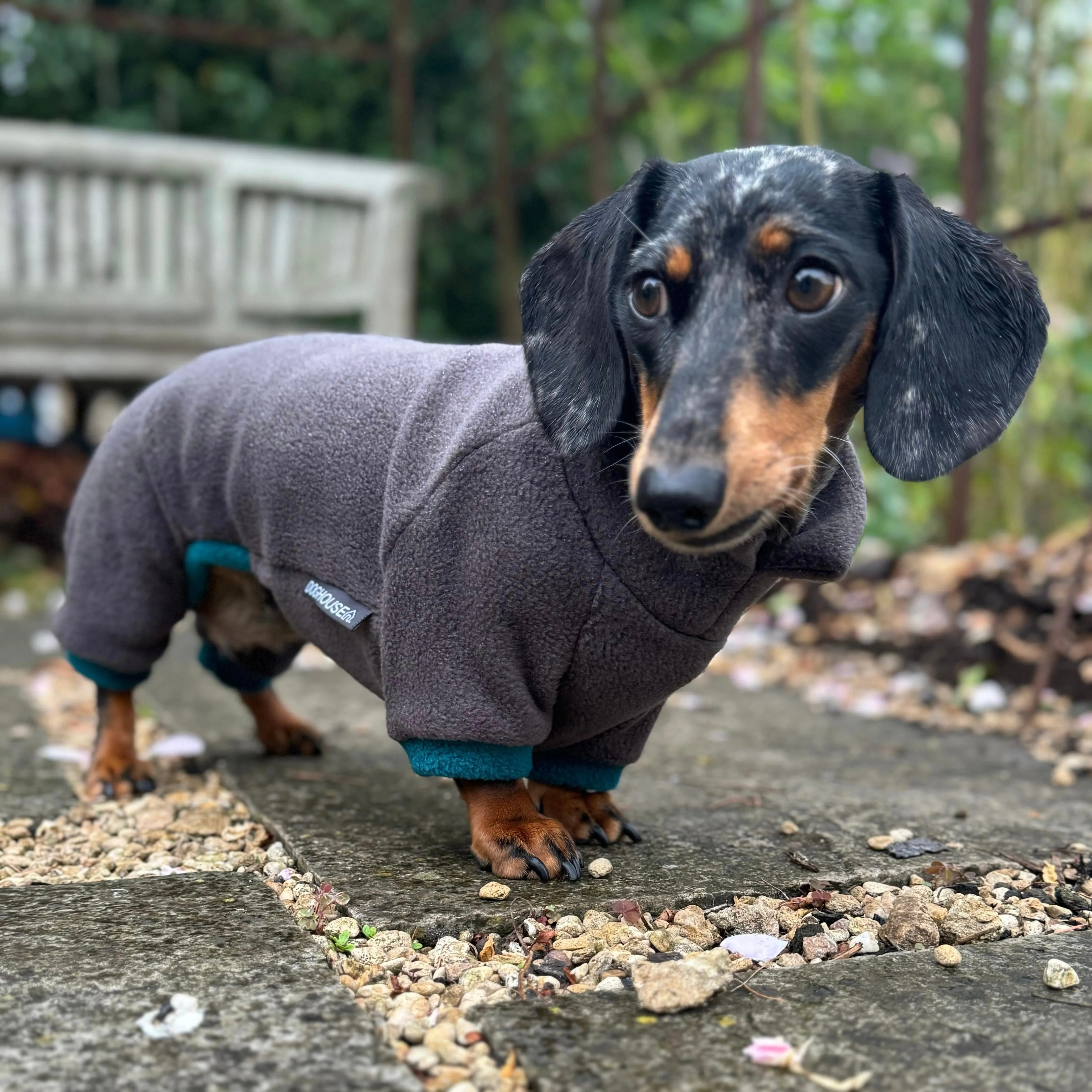 Dachshund Fleece Winter Suits with 4 Legs