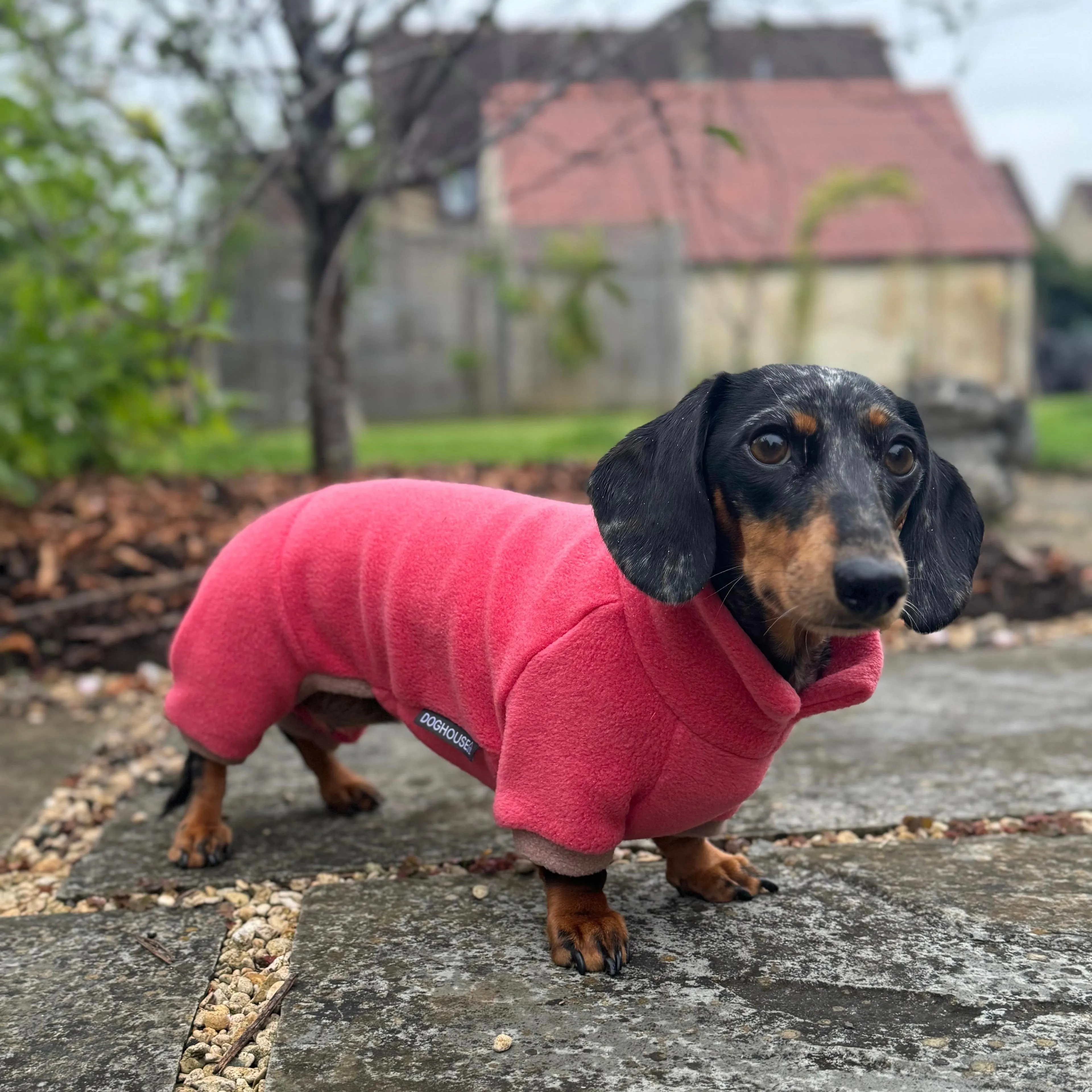 Dachshund Fleece Winter Suits with 4 Legs