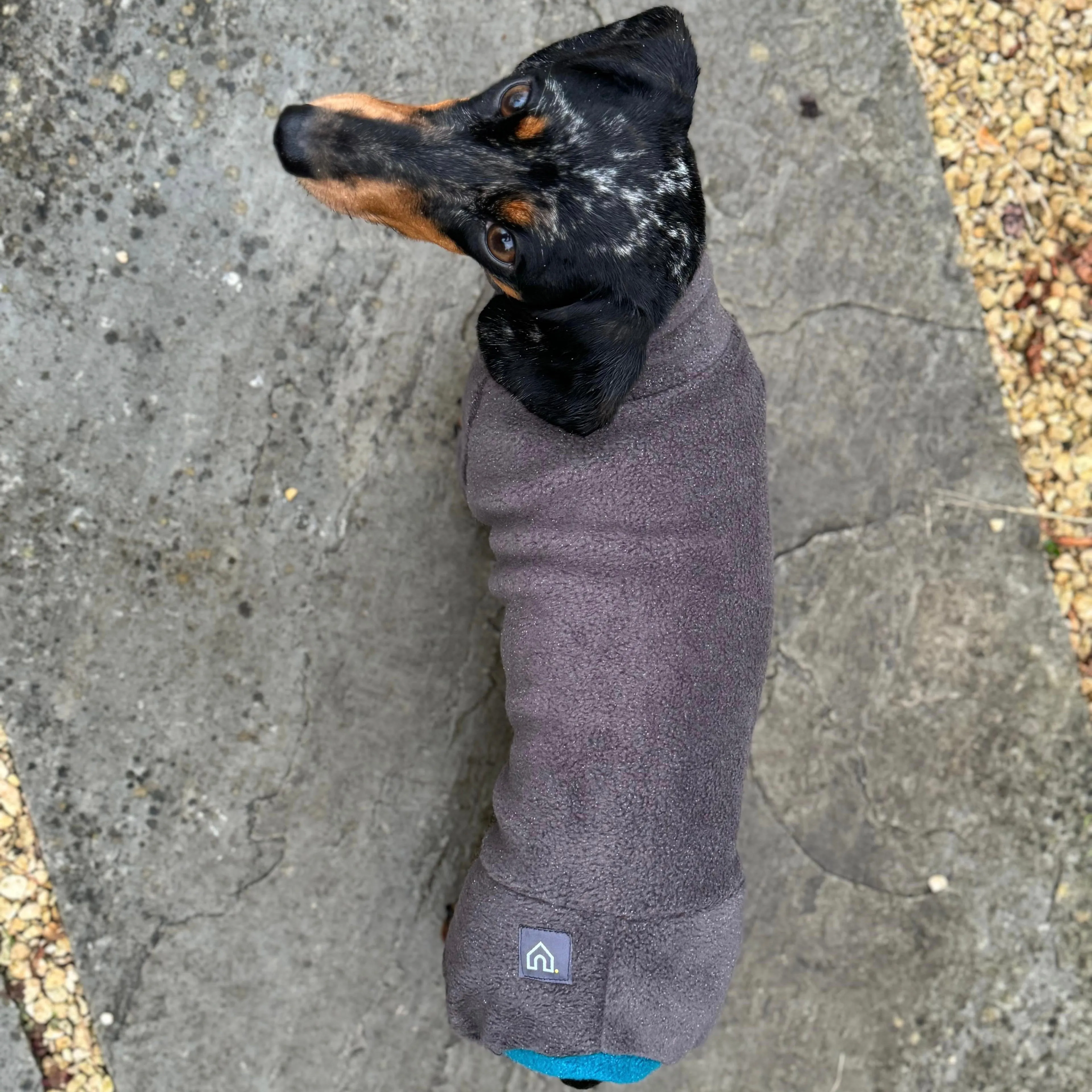 Dachshund Fleece Winter Suits with 4 Legs