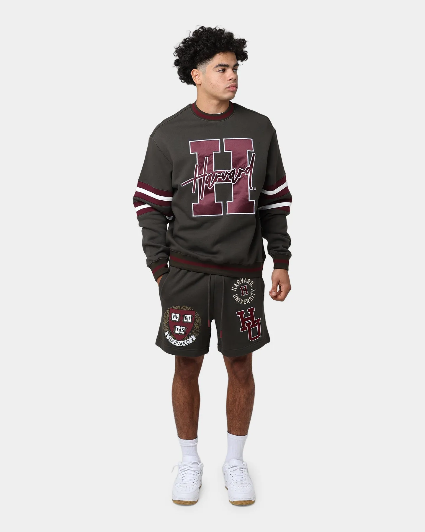 National Collegiate Athletic Association Harvard Letter Mark Panel Crewneck Steel