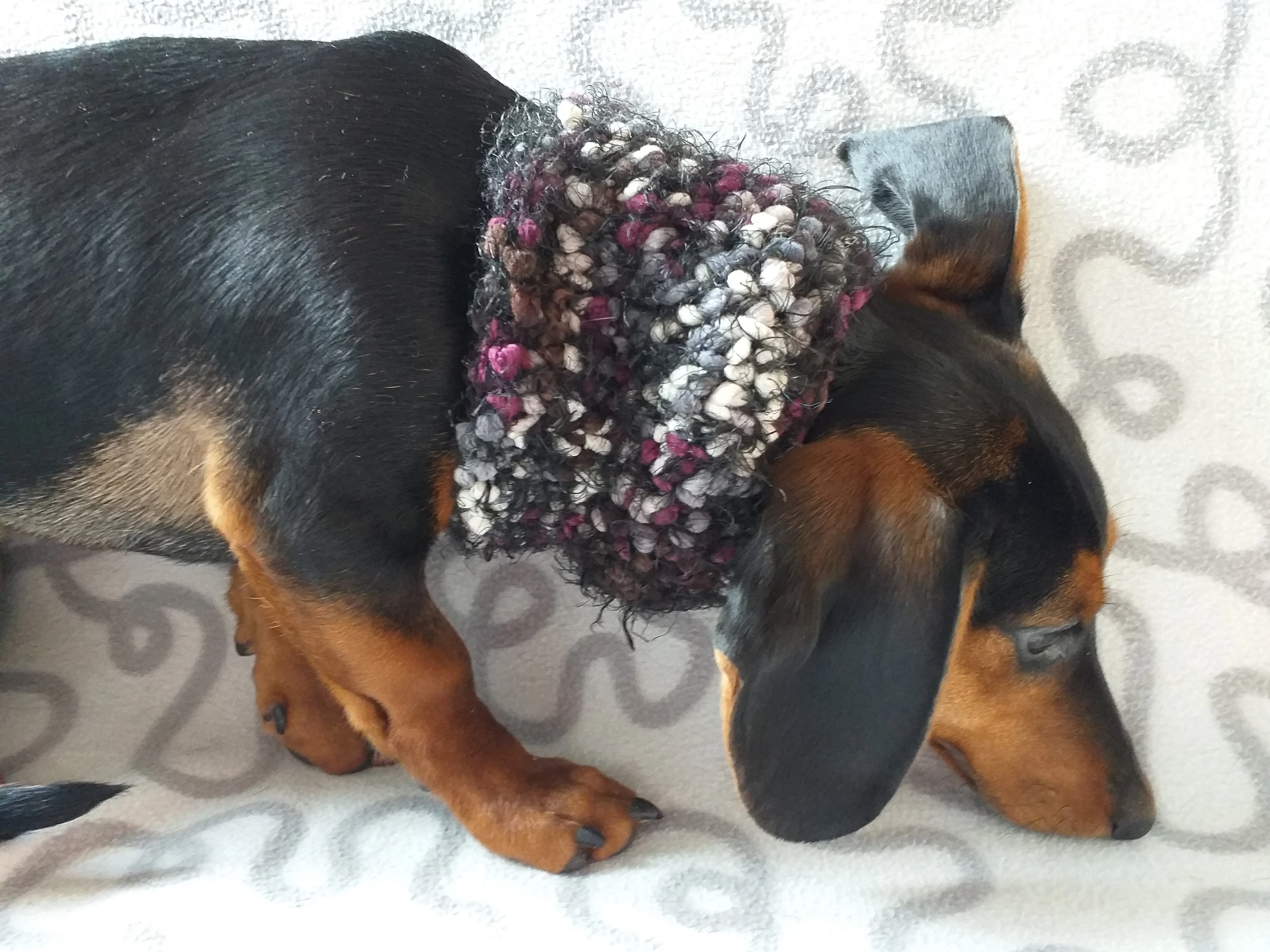 Pompom scarf snood for dachshund, scarf snood for small dogs, snood for dachshund, scarf for dachshund