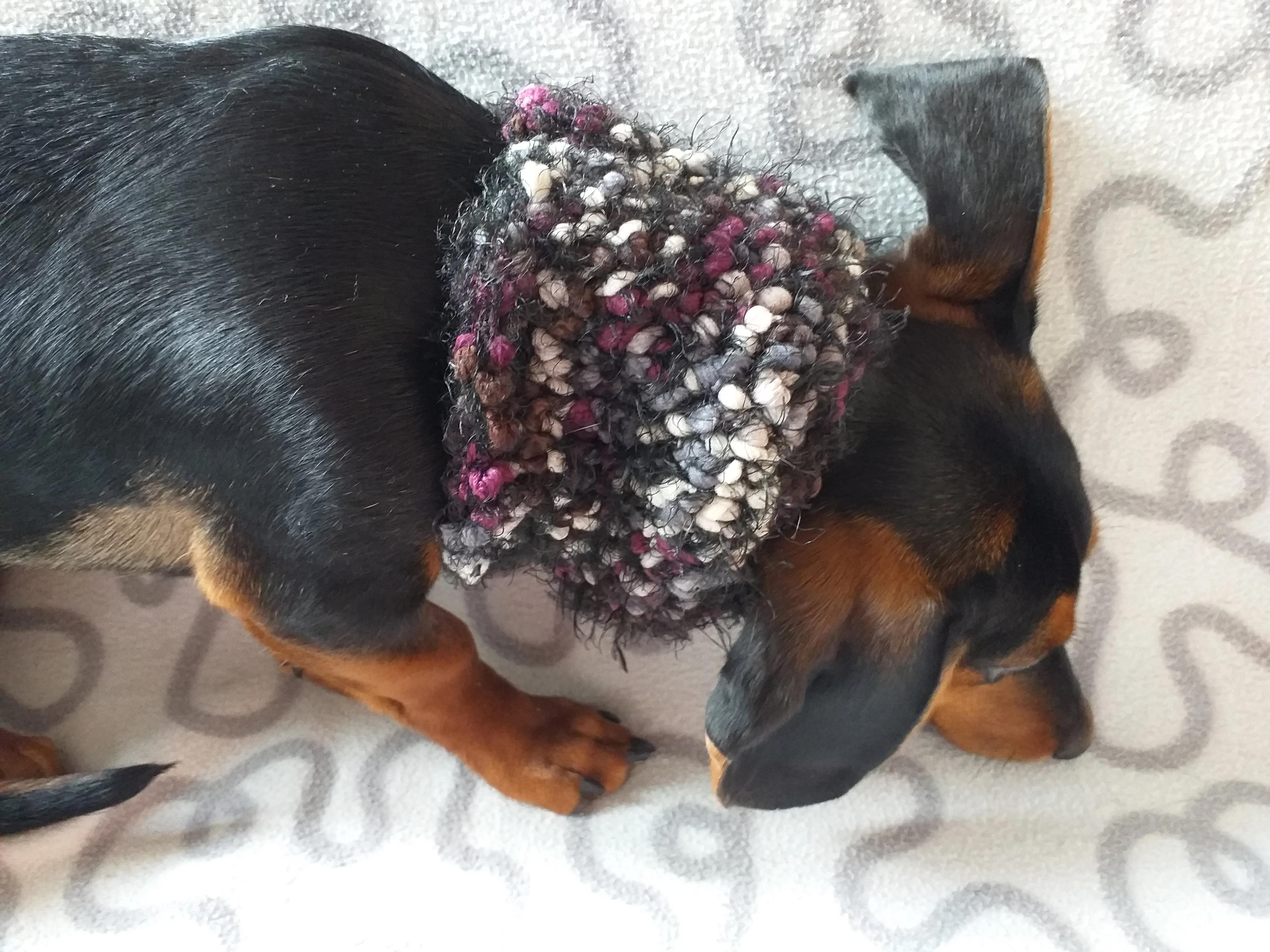 Pompom scarf snood for dachshund, scarf snood for small dogs, snood for dachshund, scarf for dachshund